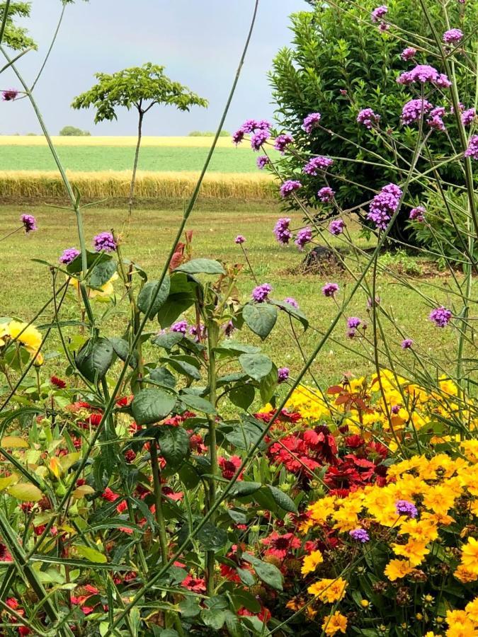 Lagalerne Bed & Breakfast Neuville-du-Poitou Exterior foto