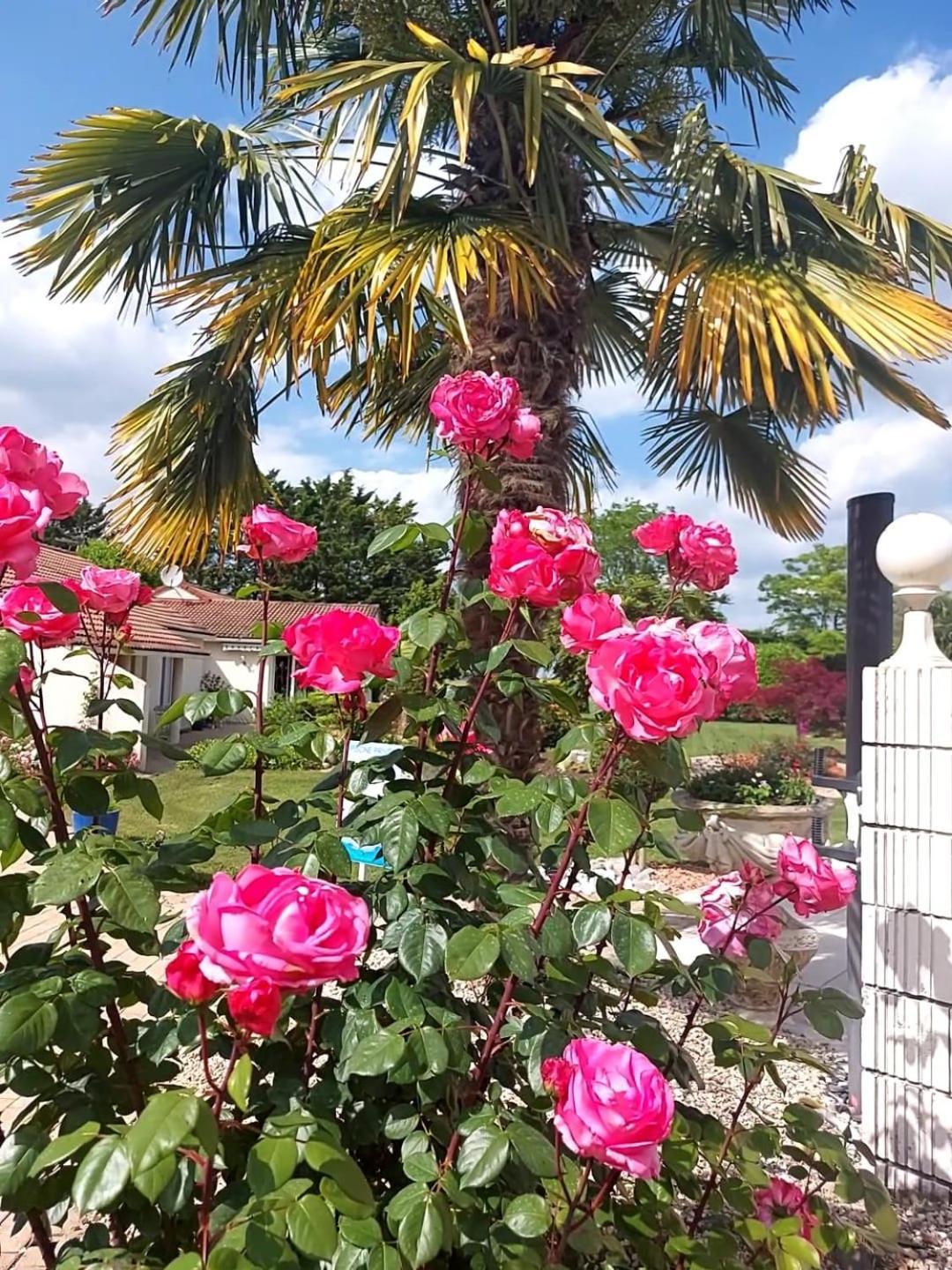 Lagalerne Bed & Breakfast Neuville-du-Poitou Exterior foto